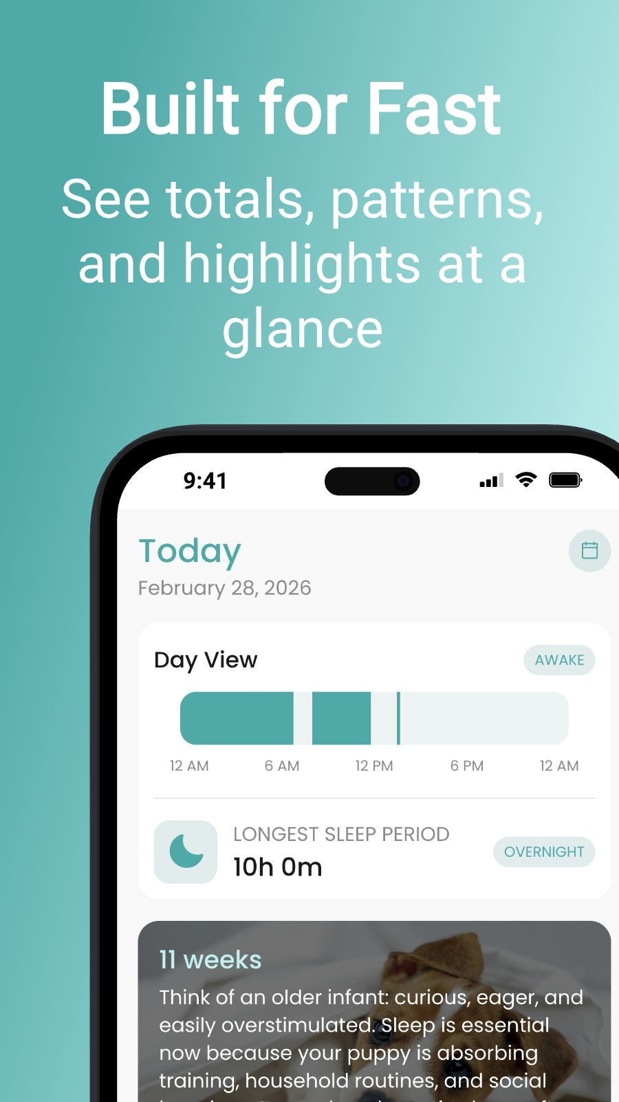 Built for Fast - See totals, patterns, and highlights at a glance