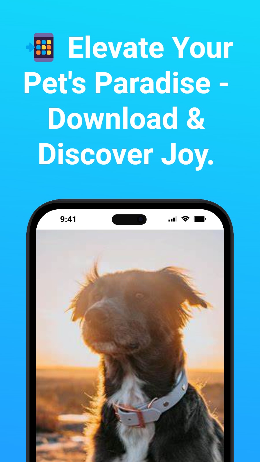 📲 Elevate Your Pet‘s Paradise - Download & Discover Joy.