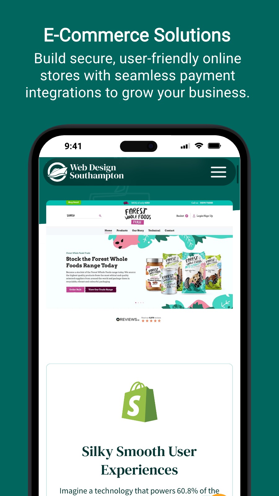 E-Commerce Solutions - Build secure, user-friendly online stores with seamless payment integrations to grow your business.